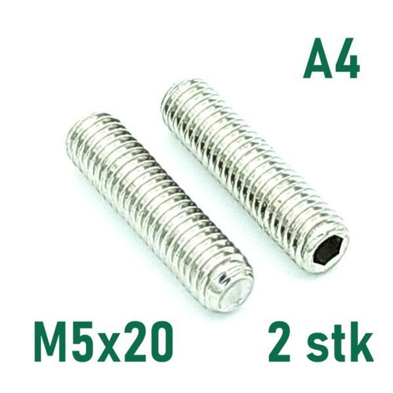 M5x20 Settskrue 2 stk Syrefast A4