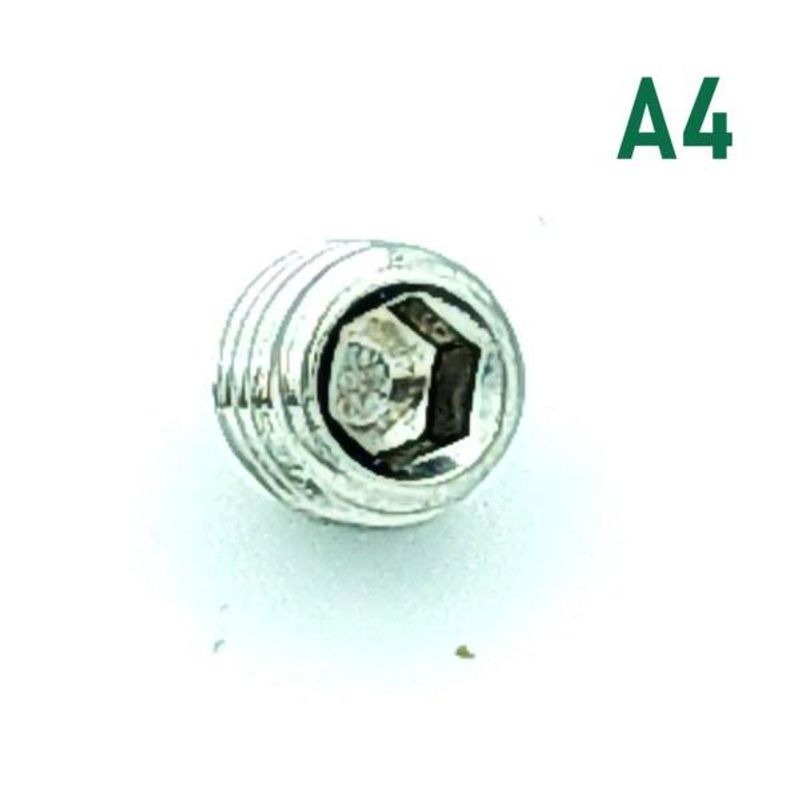 M5x5 Settskrue 10 stk Syrefast A4